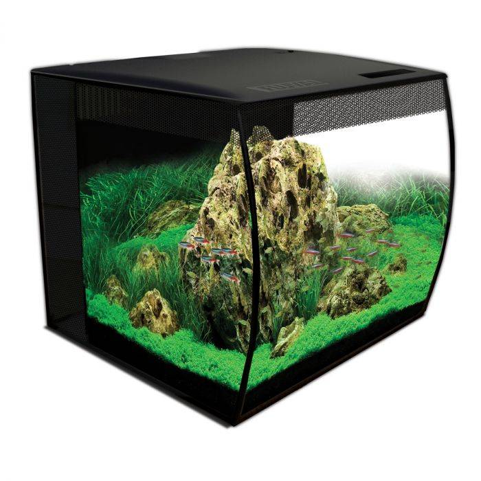 Acquario Fluval Flex da 57 litri con fronte curvo e illuminazione LED RGBW