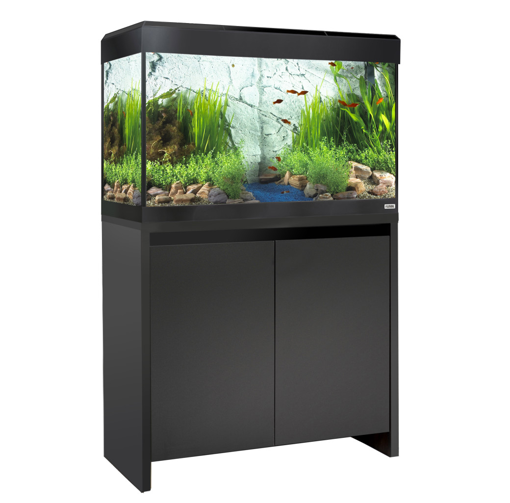 Acquario Fluval Roma da 125 litri nero su mobiletto abbinato con layout piantumato
